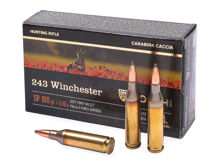 Патрон Fiocchi кал. .243 Win. SP (100 grain / 6.5 г) уп. 20 шт