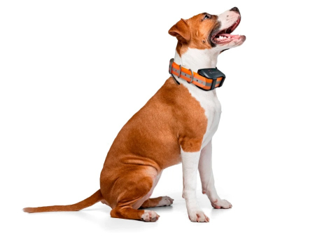 Ошейник Artelv Tracker с GPS