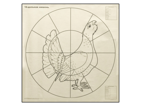 Мишень 16-дольная для пристрелки дробовых ружей «Глухарь» 800х800 мм