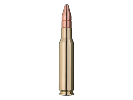 Патрон RWS кал. .308 Win Doppelkern (165 grain / 10,7 г) уп. 20 шт