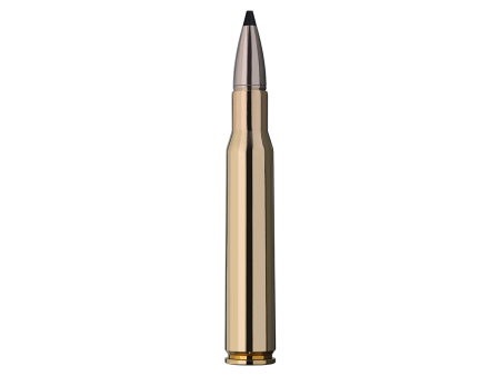 Патрон RWS кал. .30-06 Springfield Speed Tip Professional (165 grain / 10,7 г) уп. 20 шт
